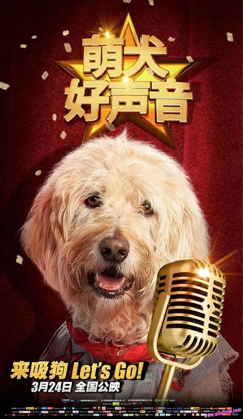 萌犬好声音4,犬界歌唱大赛，谁将脱颖而出？