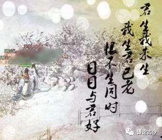 君恨我生迟(司令府就是我的家)