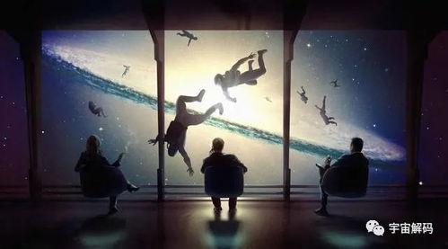 人类观察,人类观察视角下的社会现象解析