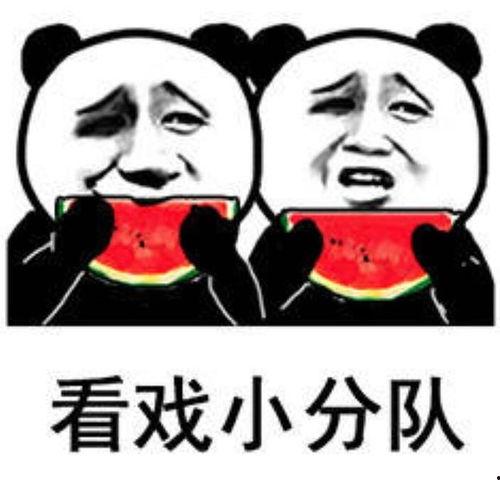 娱乐吃瓜表情图片大全
